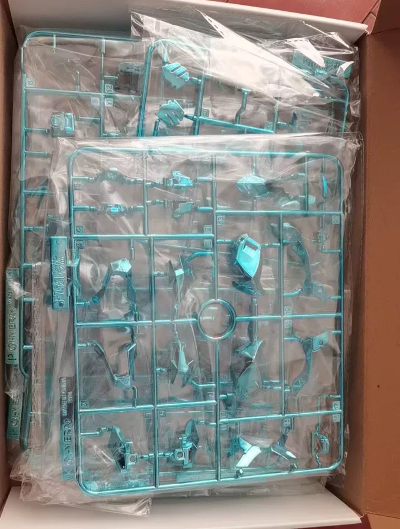 SNAA In ERA+ ERAIN RMD Lizard Customized Edition Plated Holographic Blue Coating