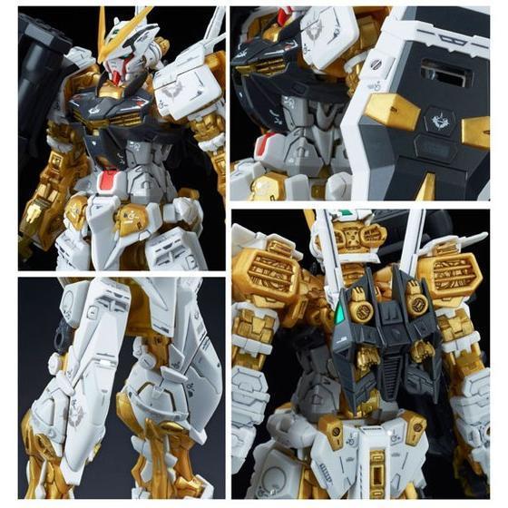 RG Gundam Astray Gold Frame 1/144