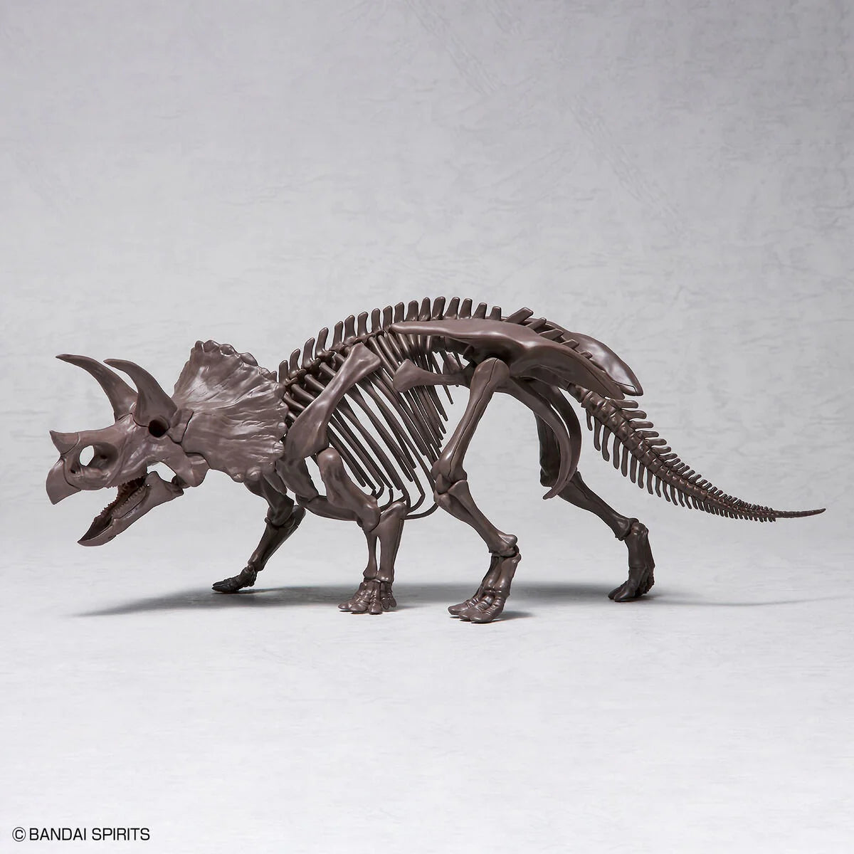 Imaginary Skeleton Triceratops 1/32 Scale Model Kit