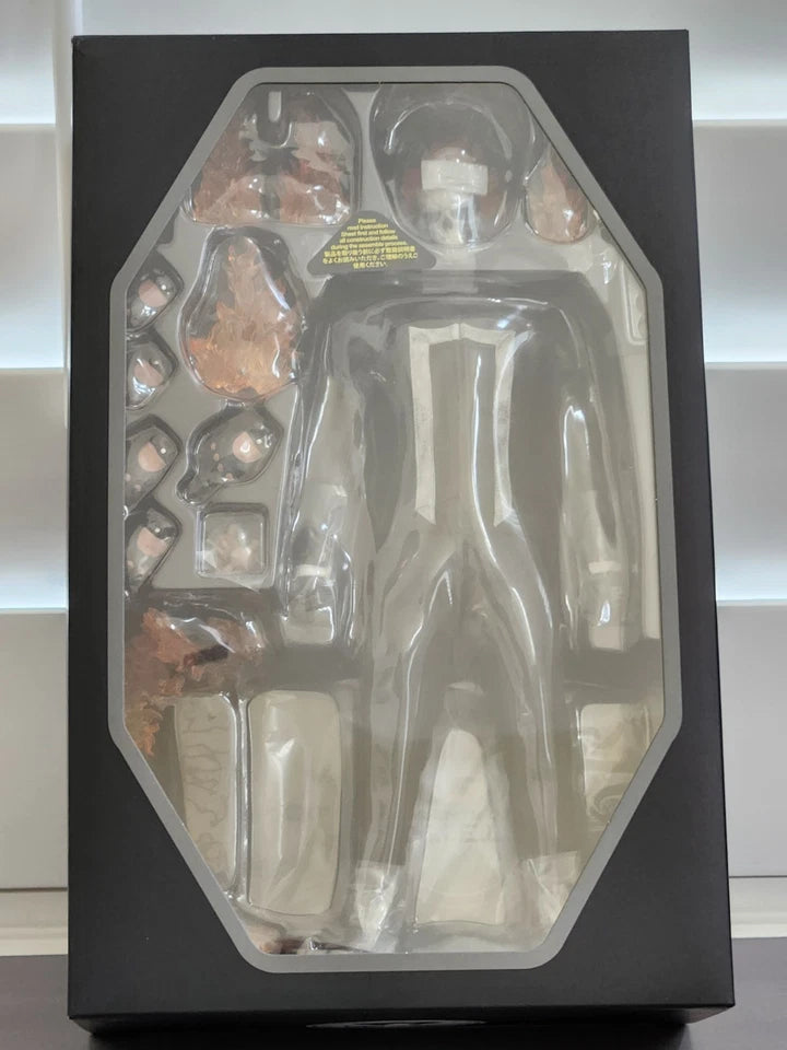 Hot Toys Exclusive TMS005 Marvel's Agents of S.H.I.E.L.D Ghost Rider Figure 1/6