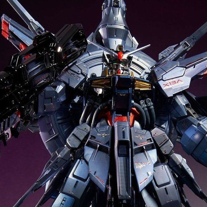 P.Bandai MG 1/100 ZGMF-X13A Providence Gundam [Special Coating]