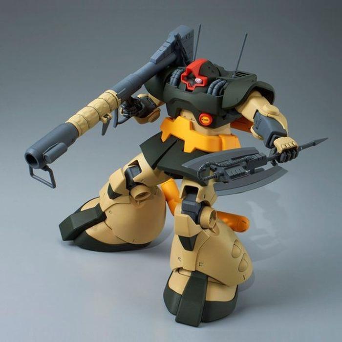 P.Bandai MG 1/100 MS-09G Dwadge