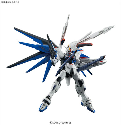 MG Freedom Gundam Ver. 2.0 1/100