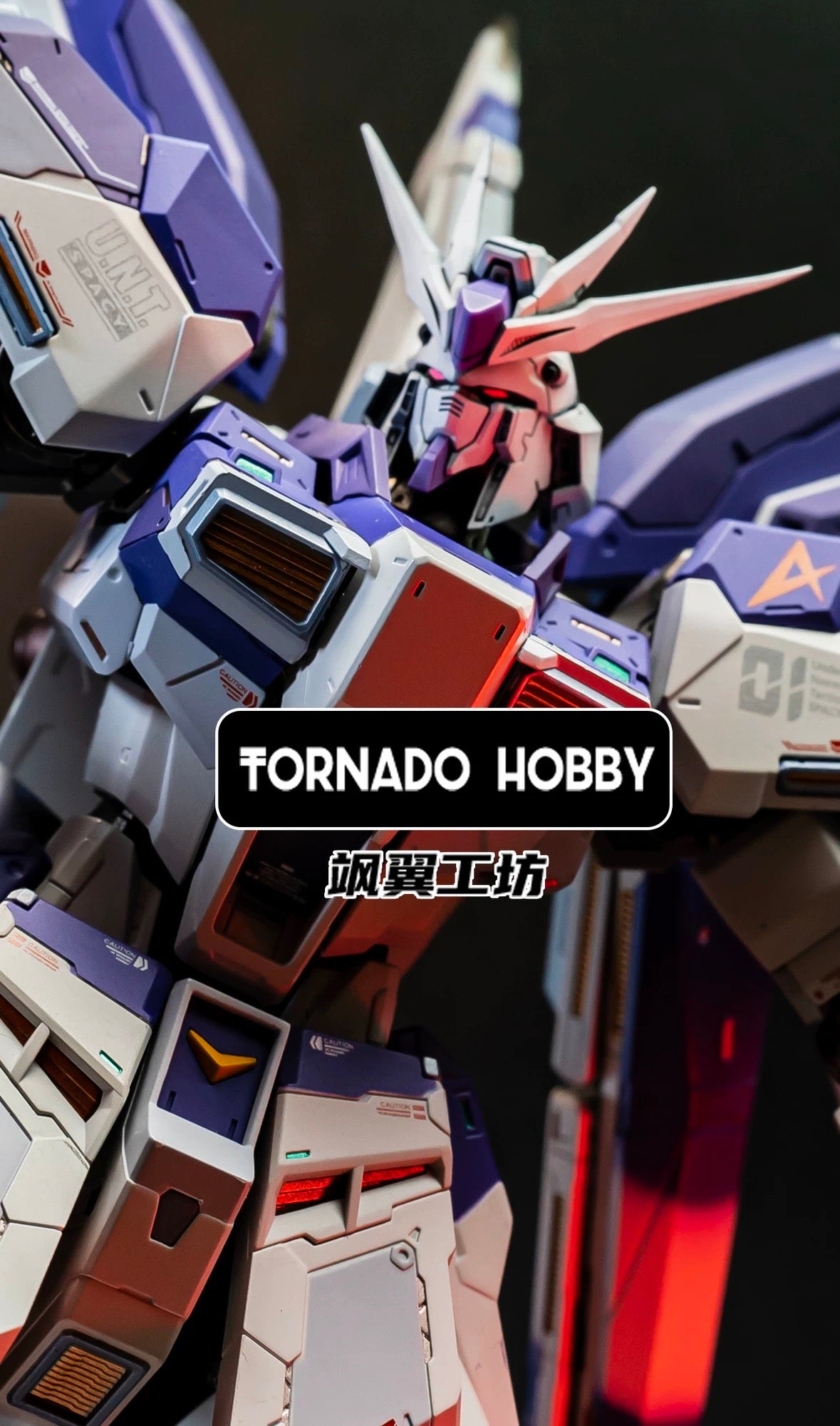 Tornado Hobby Head Sculpt for MG Hi Nu Gundam 1/100