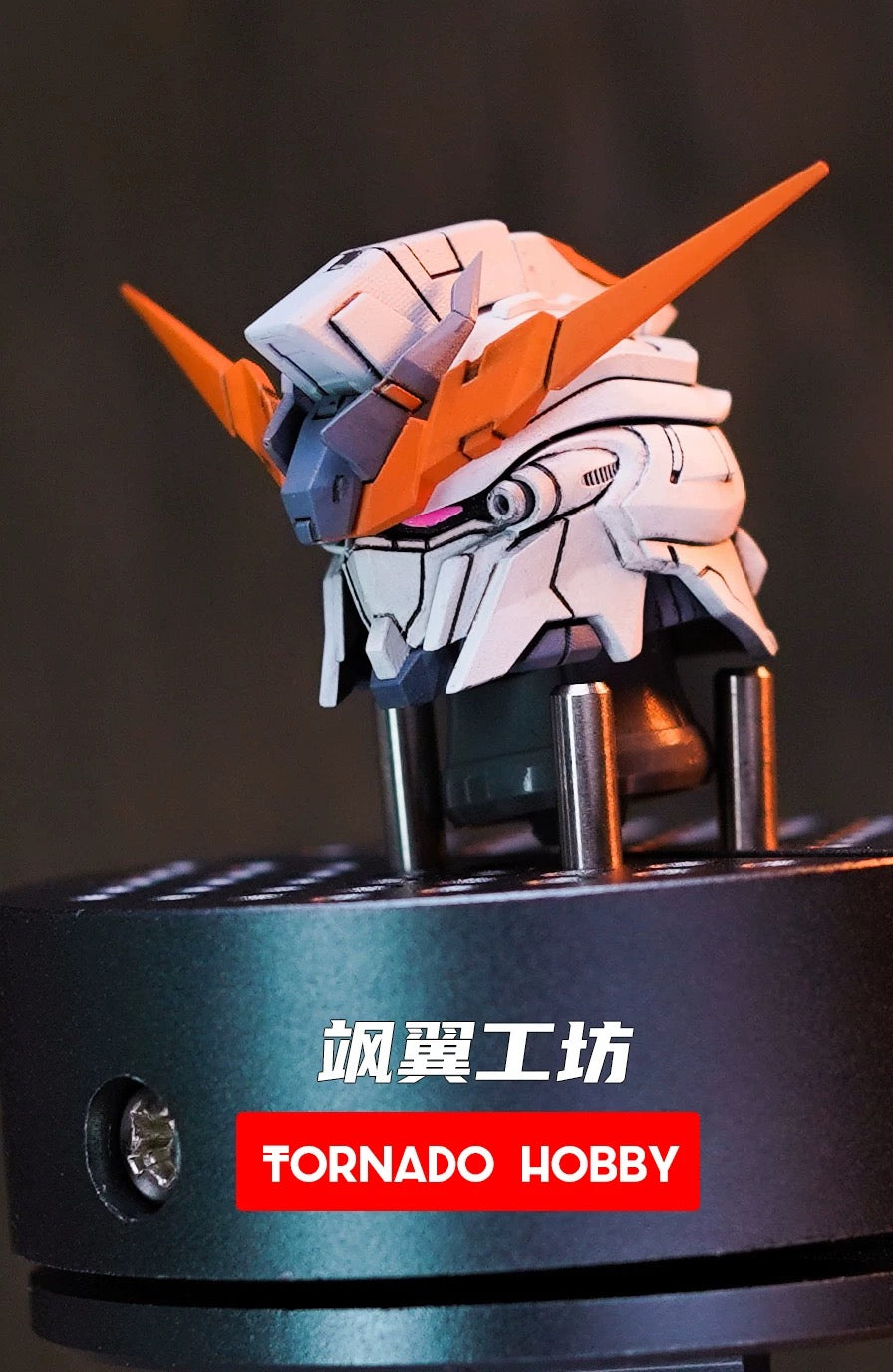 Tornado Hobby Head Sculpt for MG Sinanju Stein 1/100