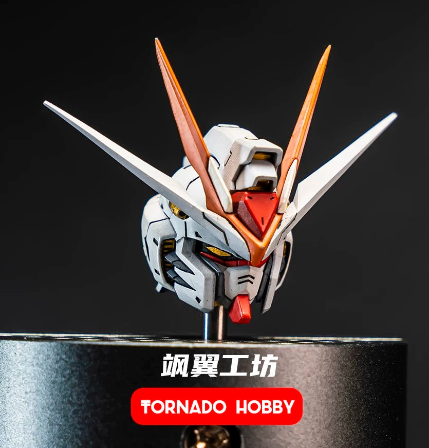 Tornado Hobby Head Sculpt for MG/MGEX/Daban 8802 Strike Freedom Gundam 1/100 (Colored)