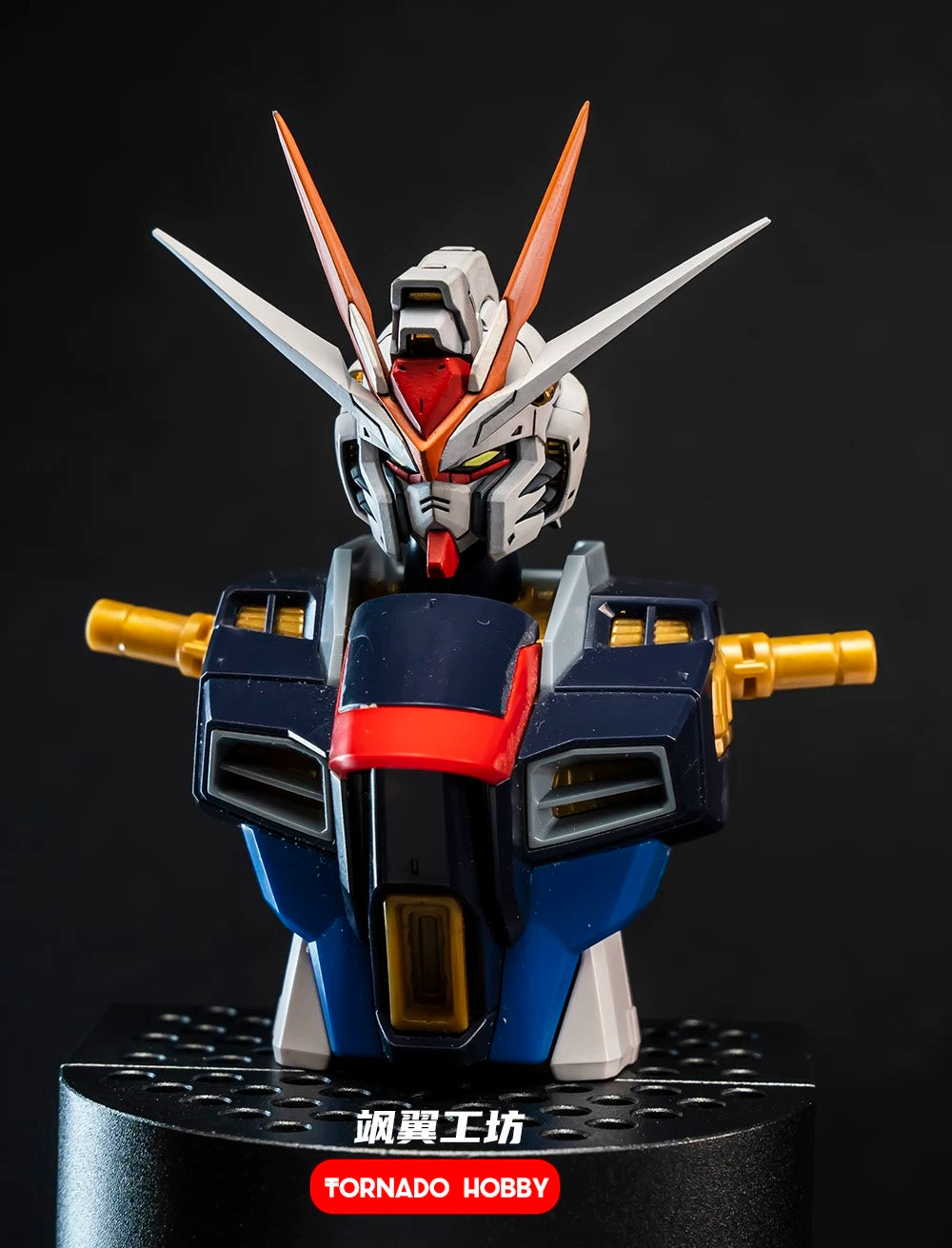 Tornado Hobby Head Sculpt for MG/MGEX/Daban 8802 Strike Freedom Gundam 1/100 (Colored)