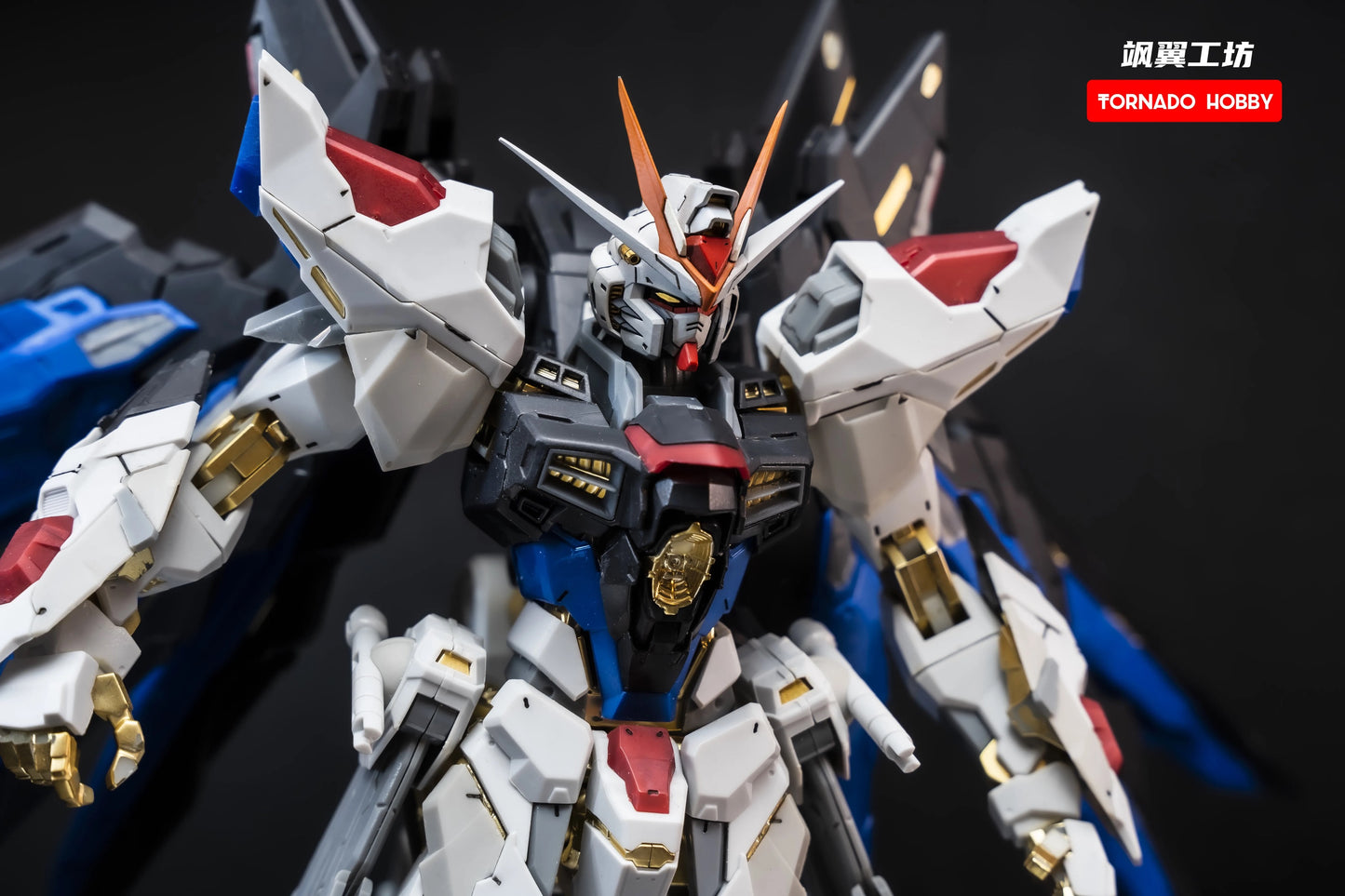 Tornado Hobby Head Sculpt for MG/MGEX/Daban 8802 Strike Freedom Gundam 1/100 (Colored)