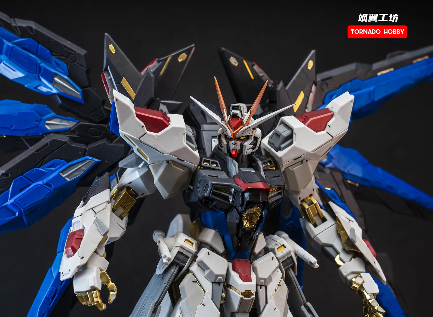 Tornado Hobby Head Sculpt for MG/MGEX/Daban 8802 Strike Freedom Gundam 1/100 (Colored)