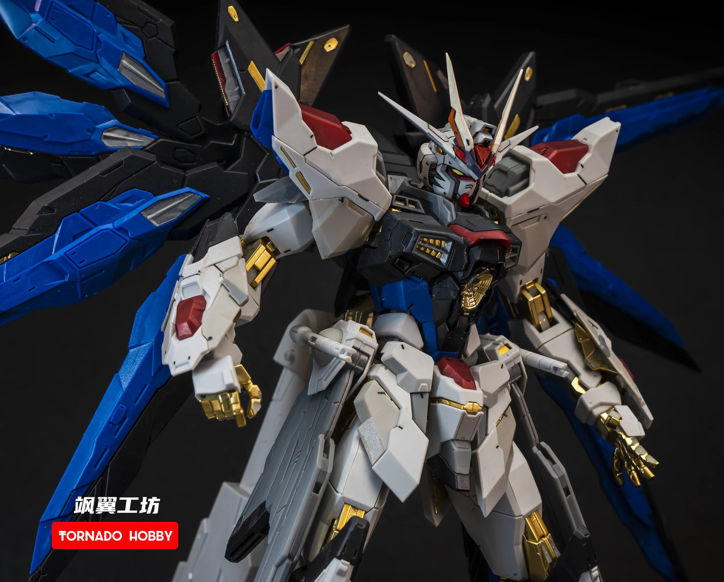 Tornado Hobby Head Sculpt for MG/MGEX/Daban 8802 Strike Freedom Gundam 1/100 (Colored)