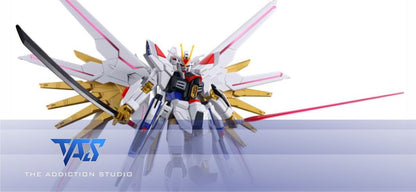 (TAS Studio) Pre-cut Masking Types for HG Mighty Strike Freedom Gundam