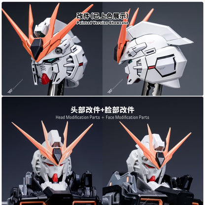 (TAS Studio) Head Modification GK Parts for Farmer's Creations - 1/100 Nu Gundam