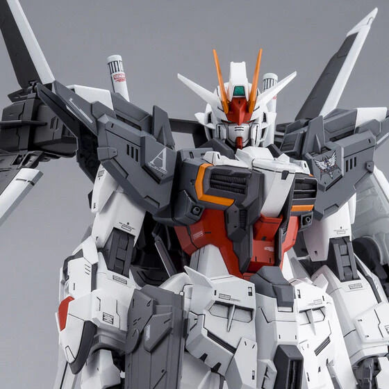 MG Gundam Ex Impulse 1/100