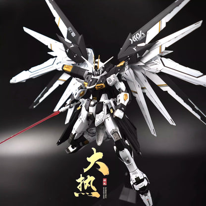 MG Freedom Gundam Ver. 2.0 1/100 Customized Version Black/White (Dare Studio)