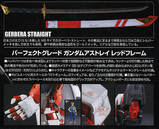 Cadre PG Astray Rouge 1/60