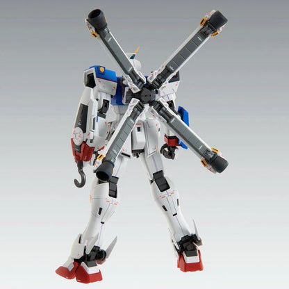 MG XM-X1C Crossbone Gundam X1 Patchwork Ver. Ka 1100