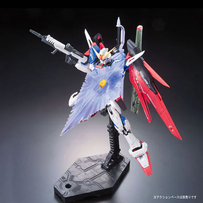 RG 11 Destiny Gundam 1/144