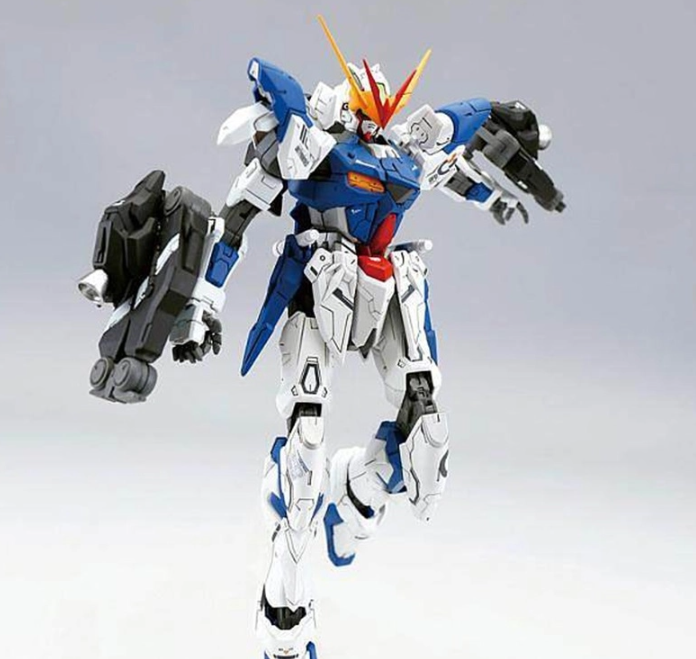 DRAGON MOMOKO Gundam Astray Out Frame D 1/100 MG ZGMF-X12D