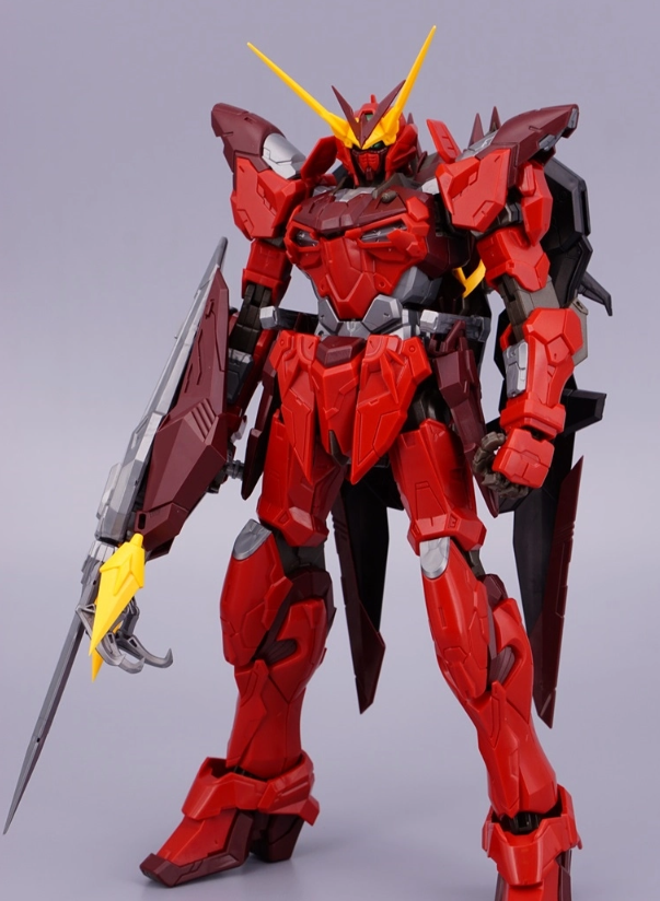 DRAGON MOMOKO Testament Gundam 1/100 MG ZGMF-X12A RGX-00