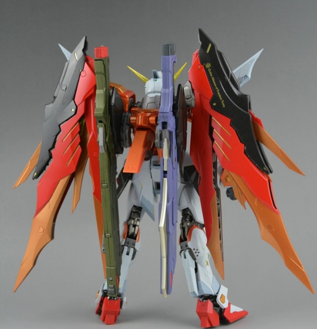 DRAGON MOMOKO Destiny Gundam (Heine Custom) 1/100 MG ZGMF-X42S Gundam