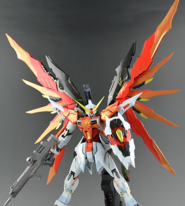 DRAGON MOMOKO Destiny Gundam (Heine Custom) 1/100 MG ZGMF-X42S Gundam