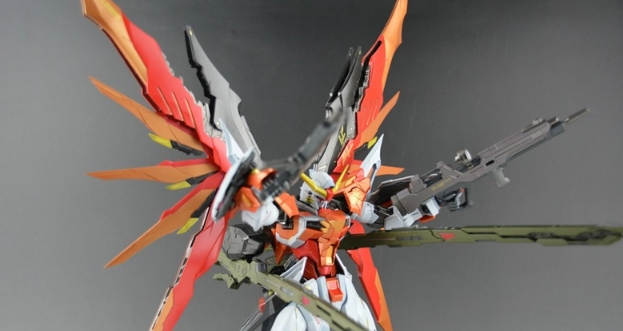 DRAGON MOMOKO Destiny Gundam (Heine Custom) 1/100 MG ZGMF-X42S Gundam