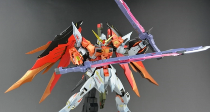 DRAGON MOMOKO Destiny Gundam (Heine Custom) 1/100 MG ZGMF-X42S Gundam