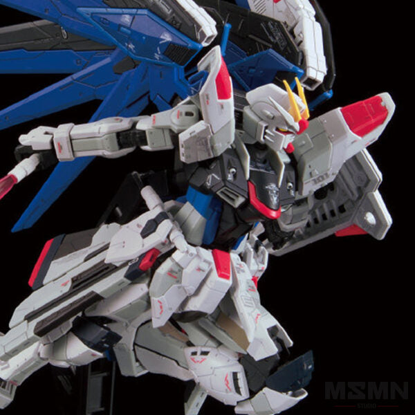 RG Freedom Gundam Ver GCP [P-Bandai] – Cool Dragon Hobby