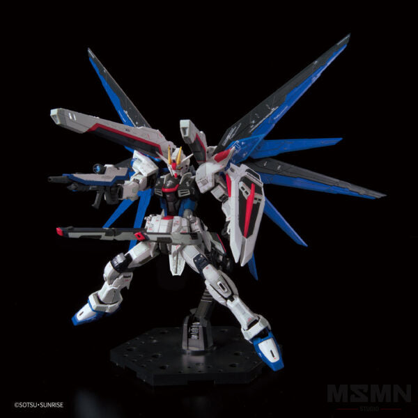 RG Freedom Gundam Ver GCP [P-Bandai]