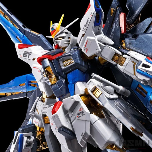 RG Strike Freedom Gundam [TITANIUM FINISH] [P-Bandai] 1/144